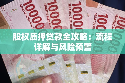 北京股权质押贷款全攻略：流程详解与风险预警