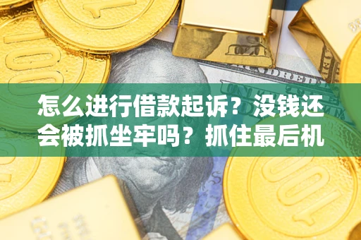 北京怎么进行借款起诉？没钱还会被抓坐牢吗？抓住最后机会！
